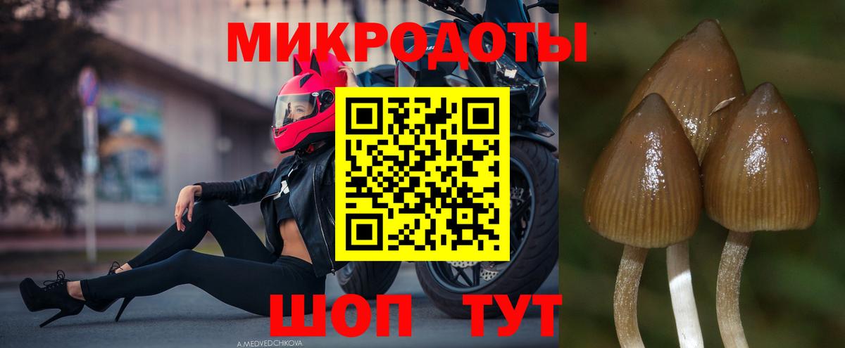 Псилоцибиновые грибы GOLDEN TEACHER  Вход с VPN  Орск  Псилоцибиновые грибы Cubensis 