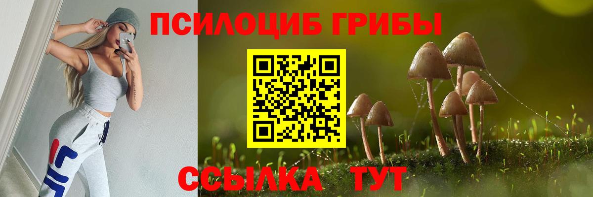 Псилоцибиновые грибы Psilocybine cubensis Орск